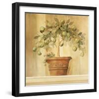 Lime Topiary-Hampton Hall-Framed Giclee Print