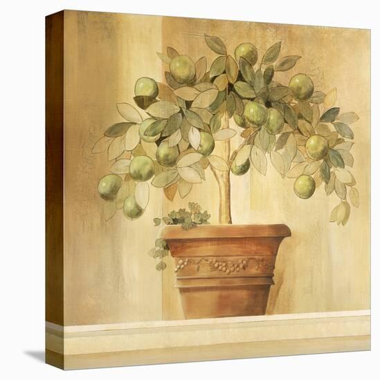 Lime Topiary-Hampton Hall-Stretched Canvas