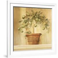 Lime Topiary-Hampton Hall-Framed Giclee Print