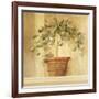 Lime Topiary-Hampton Hall-Framed Giclee Print