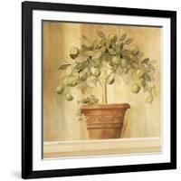 Lime Topiary-Hampton Hall-Framed Giclee Print