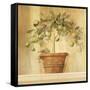 Lime Topiary-Hampton Hall-Framed Stretched Canvas