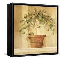 Lime Topiary-Hampton Hall-Framed Stretched Canvas