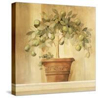 Lime Topiary-Hampton Hall-Stretched Canvas