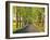 Lime tree alley, Mecklenburg Lake District, Germany-Frank Krahmer-Framed Giclee Print