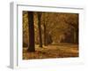 Lime Tree Avenue in Autumn Colours, Clumber Park, Worksop, Nottinghamshire, England, United Kingdom-Neale Clarke-Framed Photographic Print