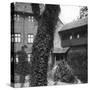 Lime Tree in a Courtyard, Nuremberg, Bavaria, Germany, C1900s-Wurthle & Sons-Stretched Canvas