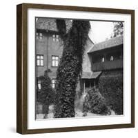 Lime Tree in a Courtyard, Nuremberg, Bavaria, Germany, C1900s-Wurthle & Sons-Framed Photographic Print