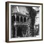 Lime Tree in a Courtyard, Nuremberg, Bavaria, Germany, C1900s-Wurthle & Sons-Framed Photographic Print