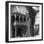 Lime Tree in a Courtyard, Nuremberg, Bavaria, Germany, C1900s-Wurthle & Sons-Framed Photographic Print