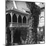 Lime Tree in a Courtyard, Nuremberg, Bavaria, Germany, C1900s-Wurthle & Sons-Mounted Photographic Print