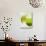 Lime Wedge on Cocktail Glass with Sugared Rim-null-Stretched Canvas displayed on a wall