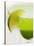 Lime Wedge on Cocktail Glass with Sugared Rim-null-Stretched Canvas