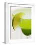 Lime Wedge on Cocktail Glass with Sugared Rim-null-Framed Premium Photographic Print