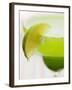 Lime Wedge on Cocktail Glass with Sugared Rim-null-Framed Photographic Print