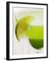 Lime Wedge on Cocktail Glass with Sugared Rim-null-Framed Photographic Print