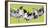 Limelight I-Linda Wood-Framed Giclee Print