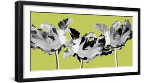 Limelight I-Linda Wood-Framed Giclee Print