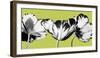 Limelight II-Linda Wood-Framed Giclee Print