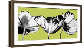 Limelight II-Linda Wood-Framed Giclee Print