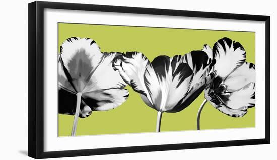 Limelight II-Linda Wood-Framed Giclee Print