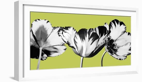 Limelight II-Linda Wood-Framed Giclee Print