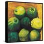 Limes, 2004-Pedro Diego Alvarado-Framed Stretched Canvas