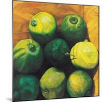 Limes, 2004-Pedro Diego Alvarado-Mounted Giclee Print