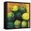 Limes, 2004-Pedro Diego Alvarado-Framed Stretched Canvas