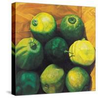 Limes, 2004-Pedro Diego Alvarado-Stretched Canvas