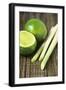 Limes And Lemongrass-Veronique Leplat-Framed Photographic Print