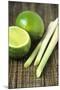 Limes And Lemongrass-Veronique Leplat-Mounted Photographic Print