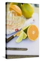 Limes, Clementine, Oranges and Citrus Squeezer-Foodcollection-Stretched Canvas