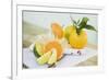 Limes, Clementine, Oranges and Citrus Squeezer-Foodcollection-Framed Photographic Print