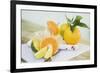 Limes, Clementine, Oranges and Citrus Squeezer-Foodcollection-Framed Photographic Print