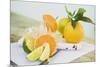 Limes, Clementine, Oranges and Citrus Squeezer-Foodcollection-Mounted Photographic Print