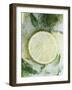 Limes in Block of Ice-Dieter Heinemann-Framed Photographic Print