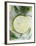 Limes in Block of Ice-Dieter Heinemann-Framed Photographic Print