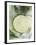 Limes in Block of Ice-Dieter Heinemann-Framed Photographic Print