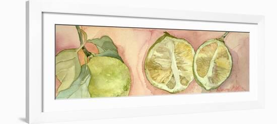 Limes in Sicily-Sharon Pitts-Framed Giclee Print