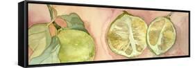 Limes in Sicily-Sharon Pitts-Framed Stretched Canvas