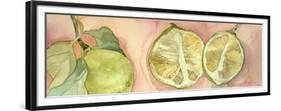 Limes in Sicily-Sharon Pitts-Framed Premium Giclee Print