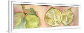 Limes in Sicily-Sharon Pitts-Framed Premium Giclee Print