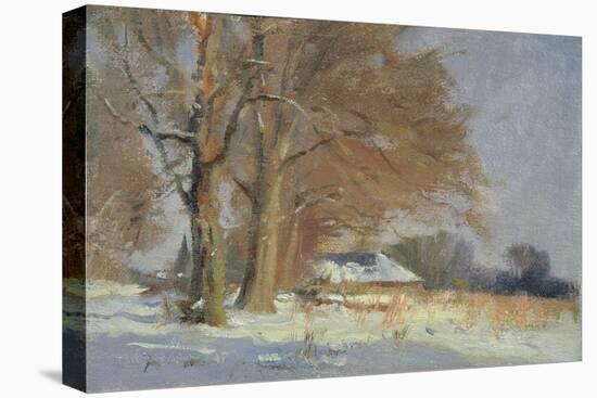 Limes in the Snow-Trevor Chamberlain-Stretched Canvas