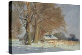 Limes in the Snow-Trevor Chamberlain-Stretched Canvas