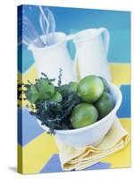 Limes, Mint and Thyme in a Bowl-Linda Burgess-Stretched Canvas