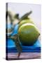 Limes on Blue Cloth-Foodcollection-Stretched Canvas