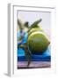 Limes on Blue Cloth-Foodcollection-Framed Photographic Print