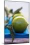 Limes on Blue Cloth-Foodcollection-Mounted Photographic Print