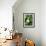 Limes, Several Whole and One Halved-Vladimir Shulevsky-Framed Premium Photographic Print displayed on a wall